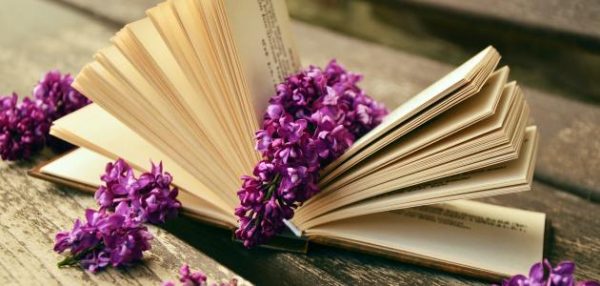 أشعار ومقولات عن الحب