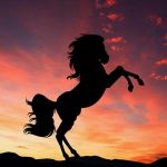 أقوال عن عزة النفس