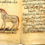 أنواع الشعر الجاهلي