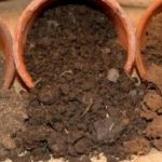 خصائص التربة