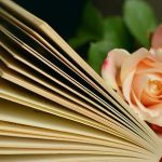 عبارات جميلة عن الصداقة الحقيقية