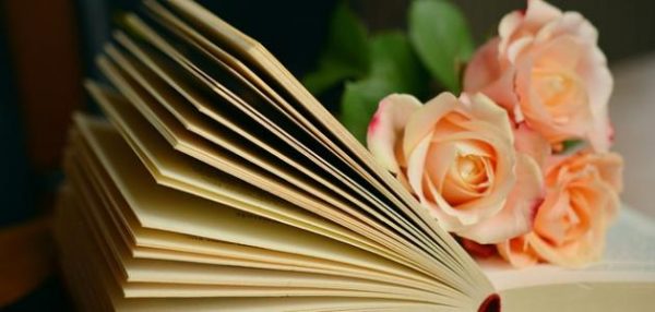 عبارات جميلة عن الصداقة الحقيقية
