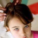 كيف أتخلص من حشرات الشعر