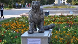 kyrgyzstan-29