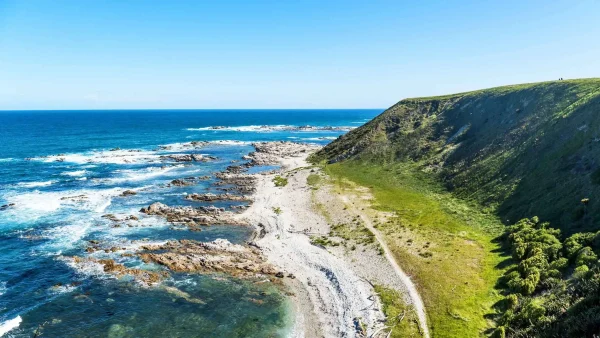 كايكورا – لقاء الحيتان والدلافين