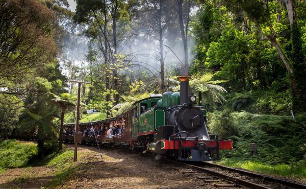 Puffing Billy