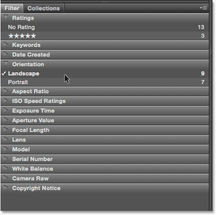 لوحة Filter في Adobe Bridge CC. صورة © 2015 Photoshop Essentials.com