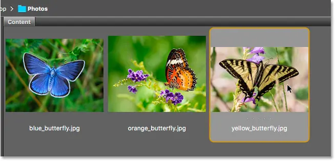 تحديد فتح صورة ثالثة من Adobe Bridge إلى Photoshop.