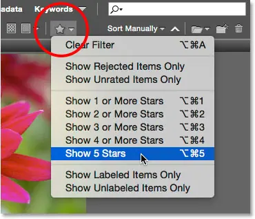تصفية الصور في لوحة المحتوى بناءً على تصنيف النجوم. صورة © 2015 Photoshop Essentials.com