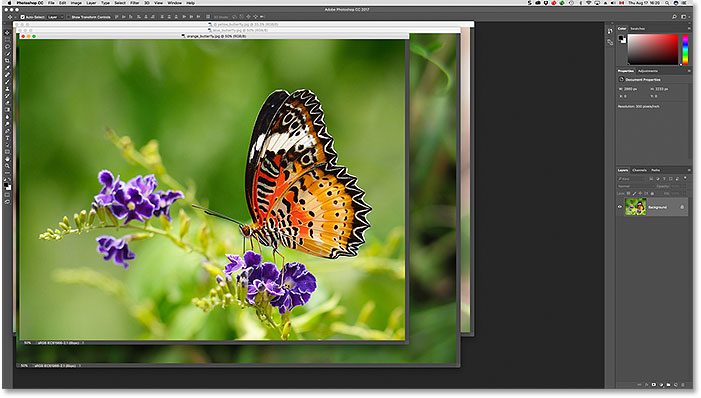 يتم عرض الصور كنوافذ مستندات عائمة في Photoshop CS6. صورة © 2013 Photoshop Essentials.com