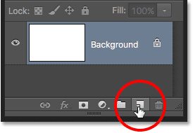 النقر فوق أيقونة Add New Layer في لوحة Layers. 