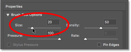 تقليل حجم الفرشاة في مرشح Liquify في Photoshop