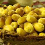 أنواع الرطب
