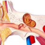 ثقب_طبلة_الأذن