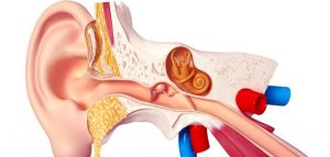 ثقب_طبلة_الأذن