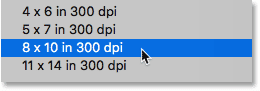 اختيار الإعداد المسبق 8 × 10 في 300 نقطة في البوصة في شاشة حجم الصورة