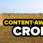 كيفية استخدام Content-Aware Crop في Photoshop