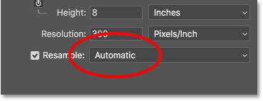 خيار Interpolation في شاشة Image Size في Photoshop