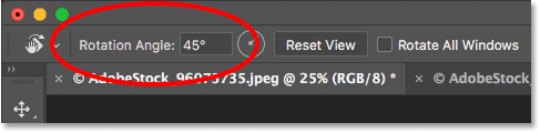 خيار Rotation Angle لأداة Rotate View Tool في Photoshop