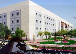جامعة الكويت