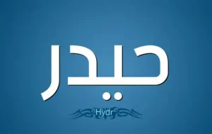 معنى اسم حيدر